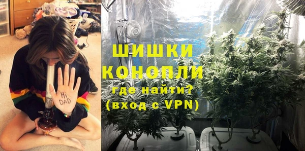 индика Белая Холуница