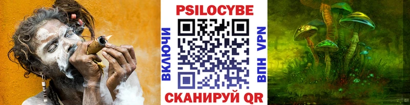 Псилоцибиновые грибы прущие грибы  Коркино 