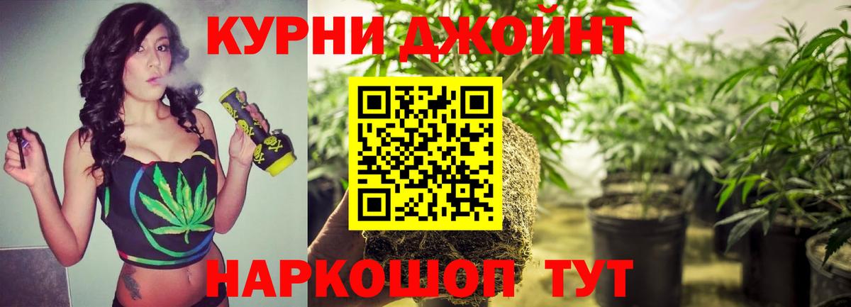 Бошки Шишки OG Kush  Коркино  МАРИХУАНА семена  Бошки марихуана индика  Бошки Шишки марихуана 